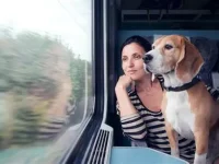 Dal canile al treno: la partnership che porta animali abbandonati nelle nuove famiglie
