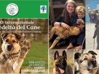 Storie di fedeltà: il ‘Premio Fedeltà del Cane 2025’ racconta gesti straordinari di cani e proprietari