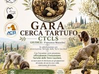 Gara di Cerca Tartufo a Orzignano (Pisa): cavatura ludico sportiva con CTCLS