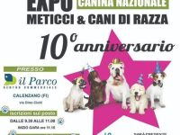 Expo Canina Nazionale (Calenzano, Firenze)