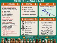 Esposizione Canina Amatoriale a Mogoro (Sardegna) – 12 Settembre 2026