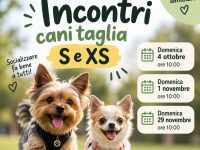 Incontri per cani di taglia S e XS a Reggio Emilia – 4 ottobre, 1 novembre e 29 novembre 2026