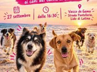 Brezza a Quattro Zampe – Passeggiata al Tramonto e Aperitivo con i Cani del Canile di Latina – 27 Settembre 2026