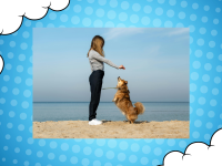 Come migliorare la comunicazione con il cane