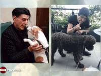 “Se maltrattate un animale, non venite ai miei concerti”: in ricordo di Ezio Bosso e del suo impegno per gli animali