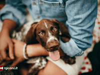 Come il cane sceglie la sua persona di riferimento in famiglia