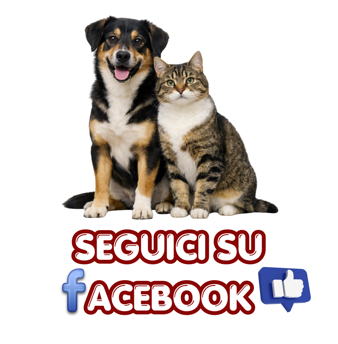 Tg Cani